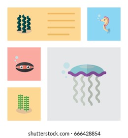 Flat Icon Nature Set Of Alga, Scallop, Medusa And Other Vector Objects. Also Includes Medusa, Underwater, Scallop Elements.