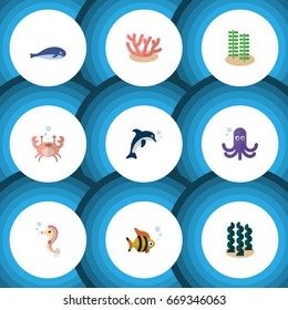 Flat Icon Nature Set Of Alga, Algae, Tentacle And Other Vector Objects. Also Includes Playful, Seaweed, Hippocampus Elements.