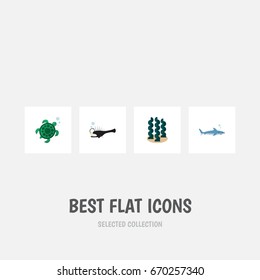 Flat Icon Nature Set Of Alga, Fish, Tortoise And Other Vector Objects. Also Includes Gray, Spirulina, Melanocetus Elements.