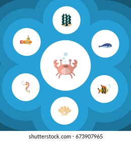 Flat Icon Nature Set Of Alga, Hippocampus, Cancer And Other Vector Objects. Also Includes Fish, Lobster, Seashell Elements.