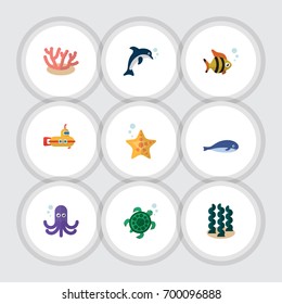 Flat Icon Nature Set Of Alga, Sea Star, Algae And Other Vector Objects. Also Includes Cachalot, Underwater, Sea Elements.