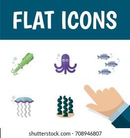 Flat Icon Nature Set Of Alga, Octopus, Tentacle And Other Vector Objects. Also Includes Seafood, Spirulina, Seaweed Elements.