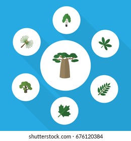 Flat Icon Nature Set Of Baobab, Maple, Tree And Other Vector Objects. Also Includes Leaves, Birch, Oak Elements.