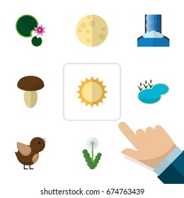 Flat Icon Nature Set Of Bird, Cascade, Floral And Other Vector Objects. Also Includes Waterfall, Water, Champignon Elements.