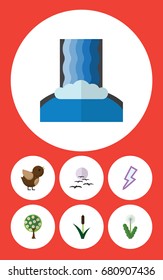 Flat Icon Nature Set Of Bird, Cattail, Lightning And Other Vector Objects. Also Includes Storm, Wing, Garden Elements.