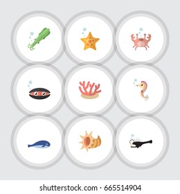 Flat Icon Nature Set Of Cachalot, Algae And Other Vector Objects. Also Includes  Star, Crab Elements.