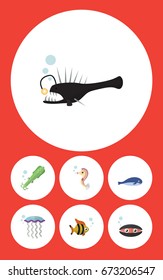 Flat Icon Nature Set Of Cachalot, Scallop, Medusa And Other Vector Objects. Also Includes Melanocetus, Whale, Hippocampus Elements.