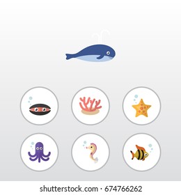 Flat Icon Nature Set Of Cachalot, Seafood, Hippocampus And Other Vector Objects. Also Includes Mollusk, Scallop, Starfish Elements.