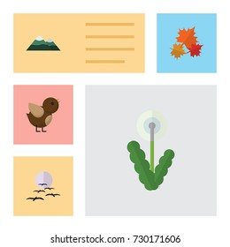 Flat Icon Nature Set Of Canadian, Gull, Floral And Other Vector Objects. Also Includes Canadian, Peak, Flower Elements.