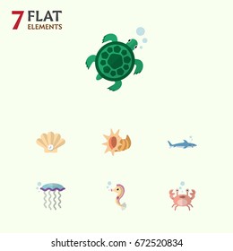 Flat Icon Nature Set Of Cancer, Medusa, Shark And Other Vector Objects. Also Includes Scallop, Sea, Tortoise Elements.