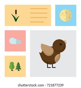 Flat Icon Nature Set Of Cattail, Bird, Forest And Other Vector Objects. Also Includes Moon, Tree, Sky Elements.