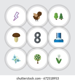 Flat Icon Nature Set Of Champignon, Monarch, Cascade And Other Vector Objects. Also Includes Mushroom, Sparrow, Tree Elements.