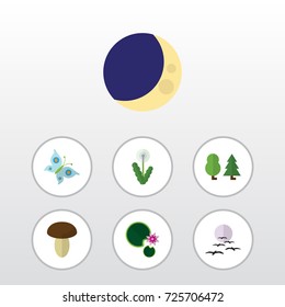 Flat Icon Nature Set Of Champignon, Monarch, Lotus And Other Vector Objects. Also Includes Wood, Forest, Bird Elements.