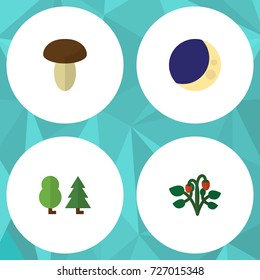 Flat Icon Nature Set Of Champignon, Half Moon, Berry And Other Vector Objects. Also Includes Strawberry, Midnight, Berry Elements.