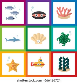 Flat Icon Nature Set Of Conch, Tortoise, Sea Star And Other Vector Objects. Also Includes Shark, Conch, Sea Elements.