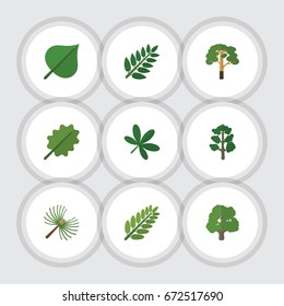 Flat Icon Nature Set Of Decoration Tree, Leaves, Maple And Other Vector Objects. Also Includes Acacia, Leaves, Oaken Elements.