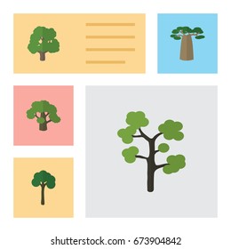 Flat Icon Nature Set Of Decoration Tree, Tree, Garden And Other Vector Objects. Also Includes Oak, Timber, Baobab Elements.