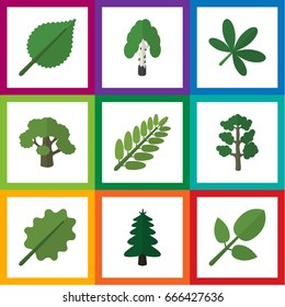Flat Icon Nature Set Of Foliage, Leaves, Linden And Other Vector Objects. Also Includes Birch, Oak, Acacia Elements.