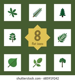 Flat Icon Nature Set Of Foliage, Park, Maple And Other Vector Objects. Also Includes Leaf, Acacia, Forest Elements.