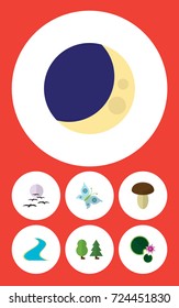 Flat Icon Nature Set Of Forest, Tributary, Gull And Other Vector Objects. Also Includes Champignon, Tributary, Bird Elements.