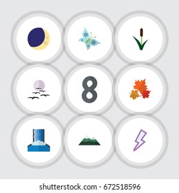 Flat Icon Nature Set Of Gull, Lightning, Cattail And Other Vector Objects. Also Includes Cascade, Moth, Thunder Elements.