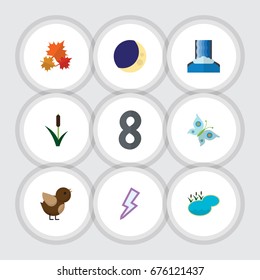 Flat Icon Nature Set Of Lightning, Cattail, Monarch And Other Vector Objects. Also Includes Butterfly, Lake, Cattail Elements.