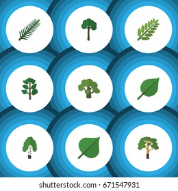 Flat Icon Nature Set Of Linden, Timber, Wood And Other Vector Objects. Also Includes Birch, Leaf, Rosemary Elements.