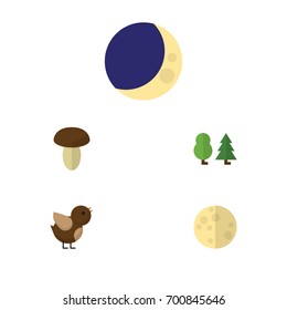 Flat Icon Nature Set Of Lunar, Half Moon, Bird And Other Vector Objects. Also Includes Moon, Mushroom, Forest Elements.