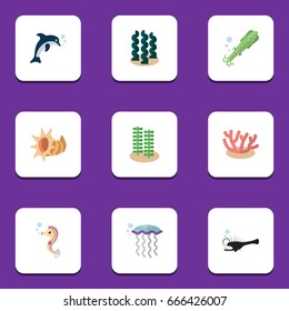 Flat Icon Nature Set Of Medusa, Hippocampus, Alga And Other Vector Objects. Also Includes Squid, Jellyfish, Tentacle Elements.