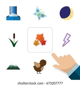 Flat Icon Nature Set Of Monarch, Cattail, Canadian And Other Vector Objects. Also Includes Crescent, Cascade, Peak Elements.