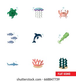 Flat Icon Nature Set Of Octopus, Tuna, Medusa And Other Vector Objects.  