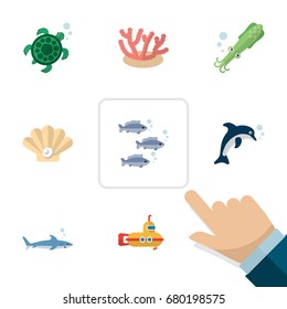 Flat Icon Nature Set Of Octopus, Tortoise, Playful Fish And Other Vector Objects. Also Includes Gray, Playful, Seashell Elements.
