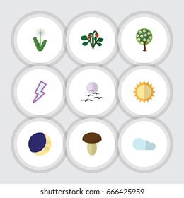 Flat Icon Nature Set Of Overcast, Tree, Half Moon And Other Vector Objects. Also Includes Bird, Floral, Sun Elements.