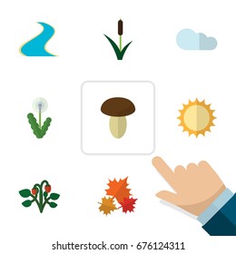 Flat Icon Nature Set Of Overcast, Floral, Cattail And Other Vector Objects. Also Includes Cloud, Maple, Canadian Elements.