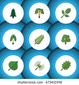 Flat Icon Nature Set Of Park, Timber, Alder And Other Vector Objects. Also Includes Alder, Hickory, Tree Elements.