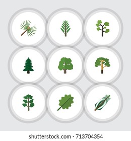 Flat Icon Nature Set Of Park, Forest, Alder And Other Vector Objects. Also Includes Jungle, Rosemary, Leaf Elements.