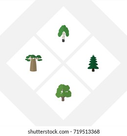 Flat Icon Nature Set Of Park, Decoration Tree, Baobab And Other Vector Objects. 