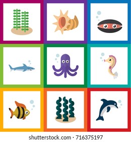 Flat Icon Nature Set Of Playful Fish, Seashell, Shark And Other Vector Objects. Also Includes Hippocampus, Sea, Gray Elements.