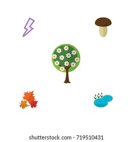 Flat Icon Nature Set Of Pond, Tree, Champignon And Other Vector Objects. Also Includes Pond, Champignon, Leaf Elements.