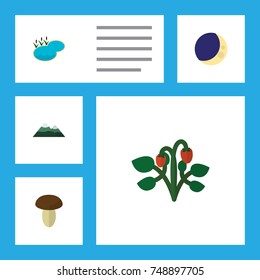 Flat Icon Nature Set Of Pond, Half Moon, Berry And Other Vector Objects. Also Includes Fruit, Lagoon, Mountain Elements.