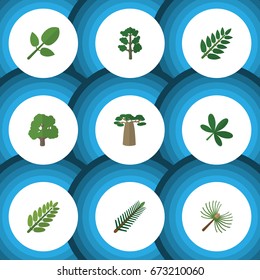 Flat Icon Nature Set Of Rosemary, Forest, Leaves And Other Vector Objects. Also Includes Acacia, Leaf, Baobab Elements.