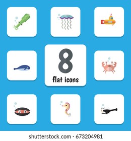 Flat Icon Nature Set Of Scallop, Cachalot, Hippocampus And Other Vector Objects. Also Includes Whale, Cachalot, Melanocetus Elements.
