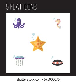 Flat Icon Nature Set Of Scallop, Tentacle, Medusa And Other Vector Objects. Also Includes Underwater, Sea, Tentacle Elements.