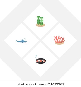 Flat Icon Nature Set Of Scallop, Seaweed, Shark And Other Vector Objects. Also Includes Seashell, Coral, Gray Elements.