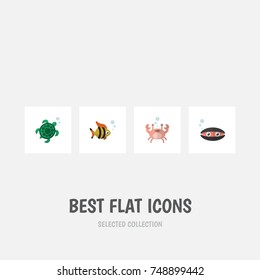 Flat Icon Nature Set Of Scallop, Seafood, Cancer And Other Vector Objects. Also Includes Seafood, Mollusk, Crab Elements.