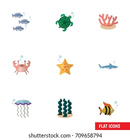 Flat Icon Nature Set Of Sea Star, Medusa, Cancer And Other Vector Objects. Also Includes Sea, Seaweed, Jellyfish Elements.