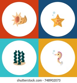 Flat Icon Nature Set Of Sea Star, Seashell, Hippocampus And Other Vector Objects. Also Includes Seashell, Alga, Starfish Elements.