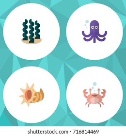 Flat Icon Nature Set Of Seashell, Alga, Cancer And Other Vector Objects. Also Includes Seaweed, Seashell, Octopus Elements.