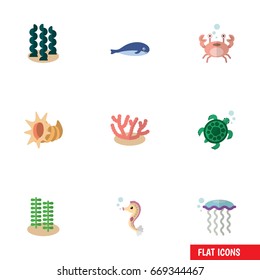 Flat Icon Nature Set Of Seaweed, Cancer, Algae And Other Vector Objects. Also Includes Turtle, Whale, Alga Elements.
