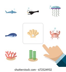 Flat Icon Nature Set Of Shark, Cachalot, Medusa And Other Vector Objects. Also Includes Jellyfish, Coral, Pearl Elements.